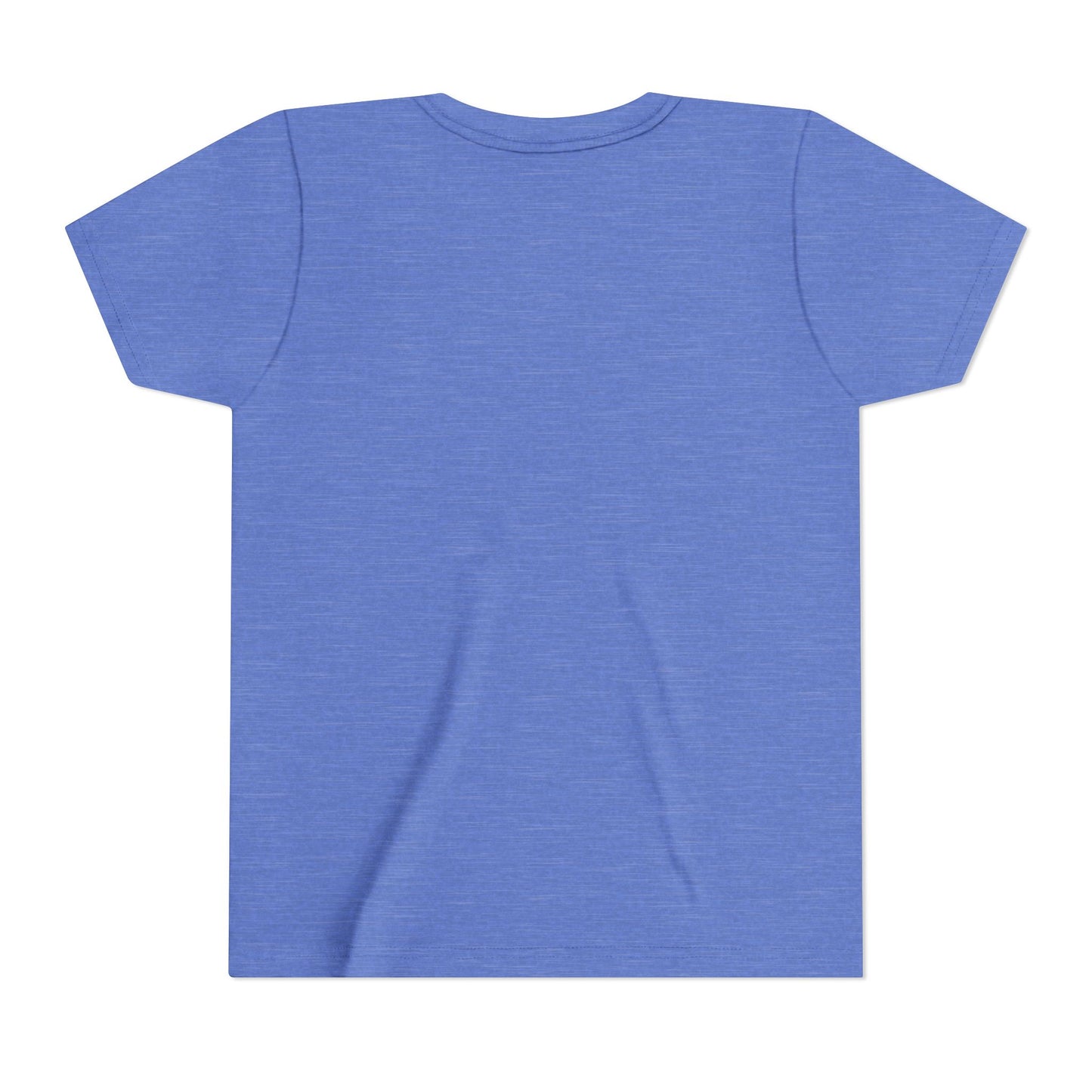Lions Swoop Bella Canvas Soft Spirit Tee (Youth)